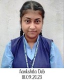 Parthib Basu